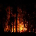 5e0df0fc25000045bad319a7