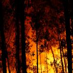 5e0df0f824000053245a4beb