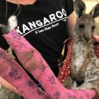 5e0df0cf2500004ebad319a5