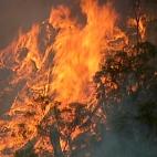 5e0df0aa2500001c1998f955