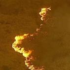 5e0df0a12500003b1998f954