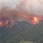 5e0df07b24000041245a4be6