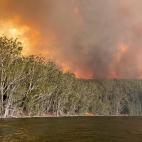 5e0df0772500001c1998f94e