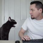 La estrella de YouTube gracias a su canal Talking Kitty Cat falleci&oacute; el jueves 16 de abril a los 40 a&ntilde;os.
