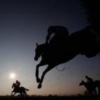 El ser humano consumía carne de caballo antes, incluso, de que lo domesticara