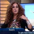 5c8a3ed32400006f054b9bbb