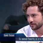 5c8a3ed92000009d036ee7c7