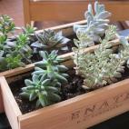 Más fácil imposible: sólo hay que beberse la botella y rellenar la caja con tierra. Vía muebleando.