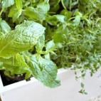 Se necesita lija, imprimación, pintura acrílica, cera y betún de judea. Vía El rincón de las cosas bonitas.