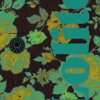 5c8aa928250000580681806c