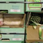 La Policía Nacional desmanteló en mayo de 2014 una red que introducía cocaína en España a través de contenedores de fruta como este, lleno de piñas procedentes de Costa Rica