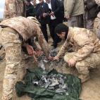 5e159c3c250000f4ddd321ca