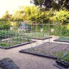 5c8a44f63b000072066bc315