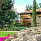 5c8a44f9230000d50422e11d