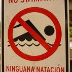 Natalia Love @ Flickr.