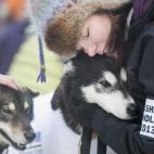 5c8ae00b2300005400e752f1