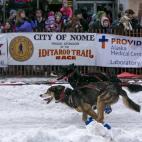 5c8ae00b2300005300e752f3