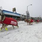 5c8ae00c2000009e046fe625