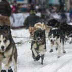 5c8ae0122300005400e752f9