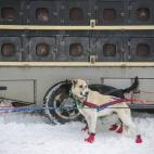 5c8ae014360000c81a6c381a