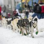 5c8ae0142300005300e752fb