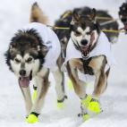 5c8ae0153b000054066cb8b9