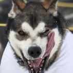 5c8ae015360000ba1a6c381c