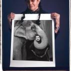 Fotos del libro de Tim Mantoani