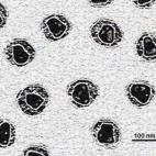 El mito de que tener relaciones sexuales con una mujer virgen curaba las enfermedades de transmisión sexual (ETS) se remonta al siglo XVI. La práctica fue documentada en relación con la sífilis y gonorrea en Europa.