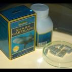 El uso del cartílago de tiburón para tratar el cáncer surgió alrededor de la década de 1950, fruto de la investigación del Dr. John Prudden. Pero estudios recientes no han encontrado efectos sobre la salud con la toma de cartílago de tibu...