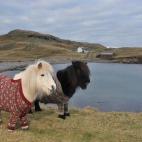 (Credit: Visit Scotland)