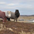 (Credit: Visit Scotland)