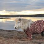 (Credit: Visit Scotland)