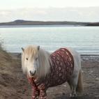 (Credit: Visit Scotland)