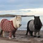 (Credit: Visit Scotland)