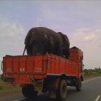 5c8a50f824000093024bb4fe