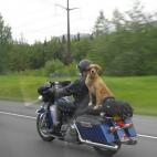 5c8a50f92000009d036f0167