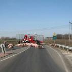 5c8a50fb260000e104fe322a