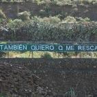 5c8ae0ab230000040123dccd