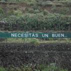 5c8ae0ac2500000d04c9ccb5