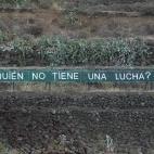 5c8ae0ae360000ba1a6c3919