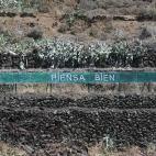 5c8ae0b122000051001a086d