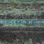 5c8ae0b32500000704c9ccc5