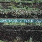 5c8ae0b320000043046fe70f