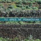 5c8ae0b420000043046fe711