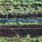 5c8ae0b43b000054066cb9b1