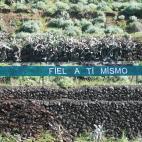 5c8ae0b5240000f404a3d7f3