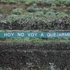 5c8ae0b6360000ba1a6c391f