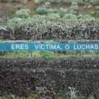 5c8ae0b6360000ba1a6c3921