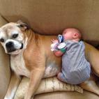 5c8b22783b000070066d0f51